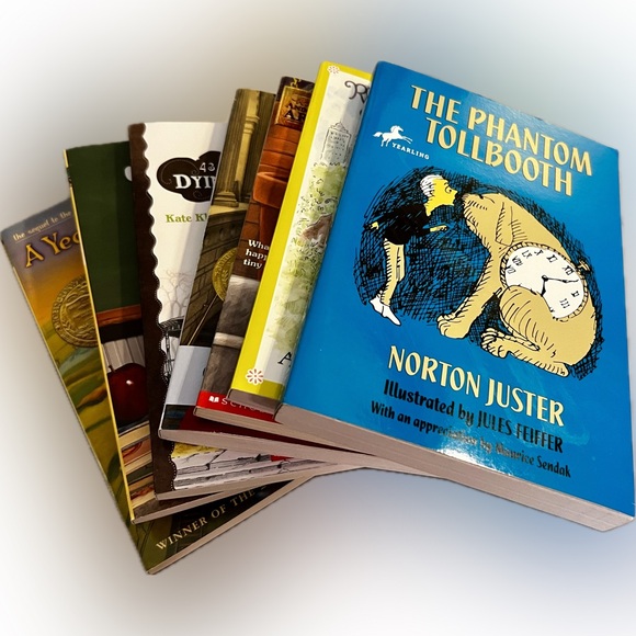 Fiction Book Lot 6 Like New Books Juvenile Readers Chapters Scholastic School - Picture 2 of 9